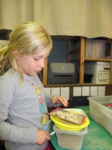 filtering stones in science center