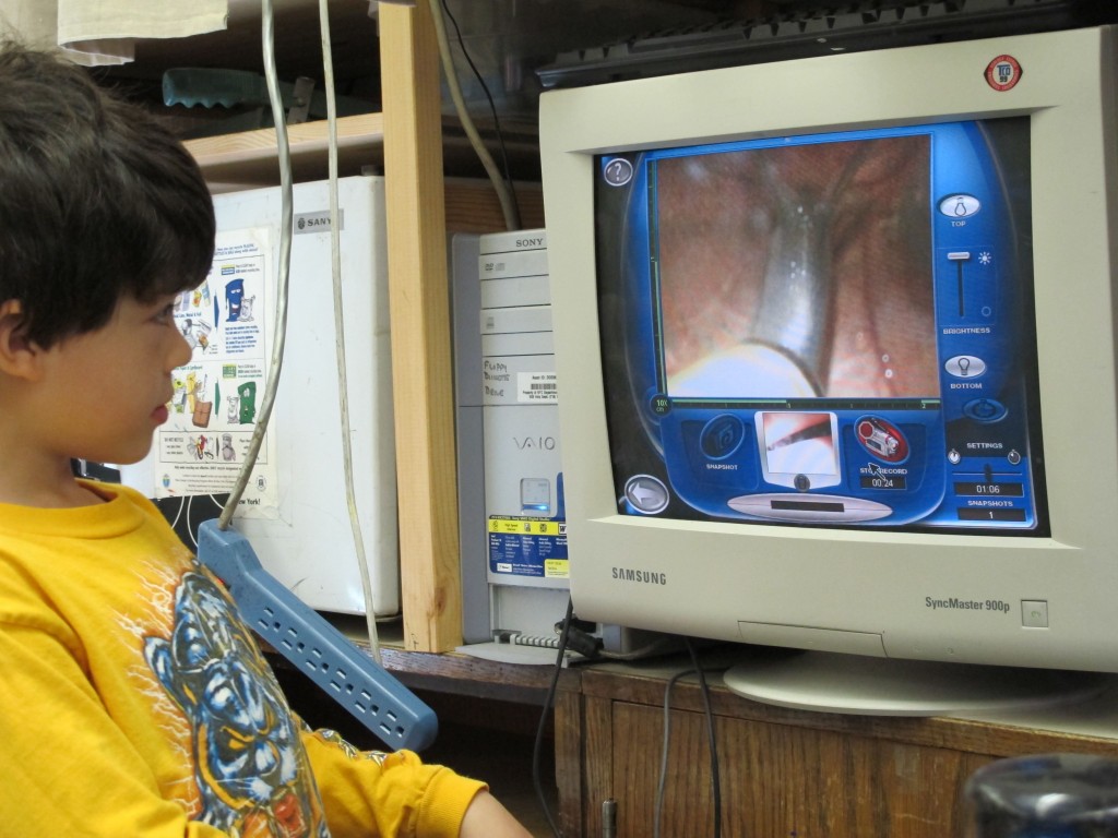 making a snail movie