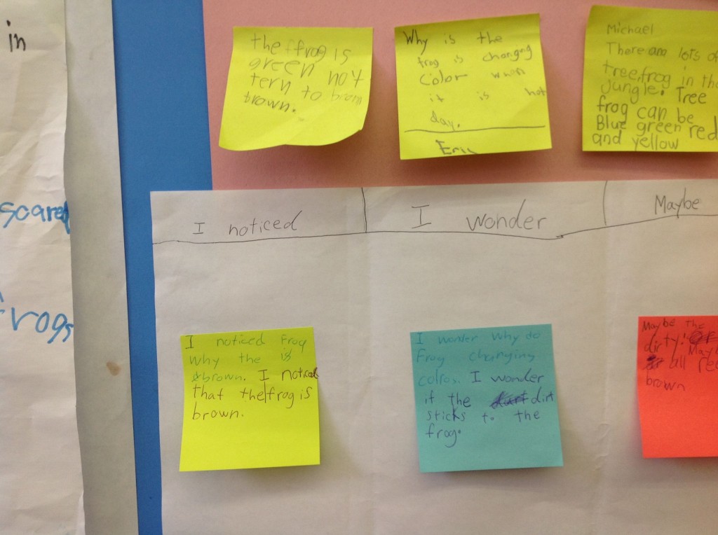 I notice that the frog is brown