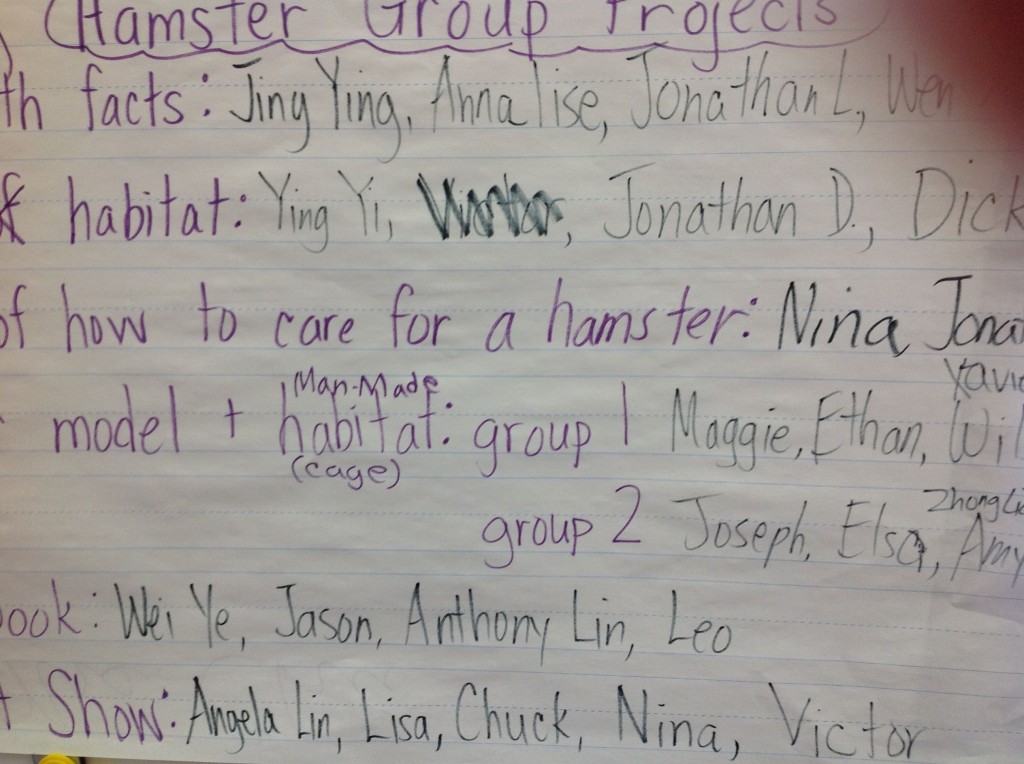 *hamster group projects