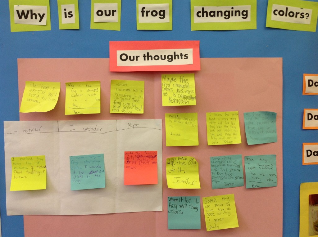 *why is our frog changing color