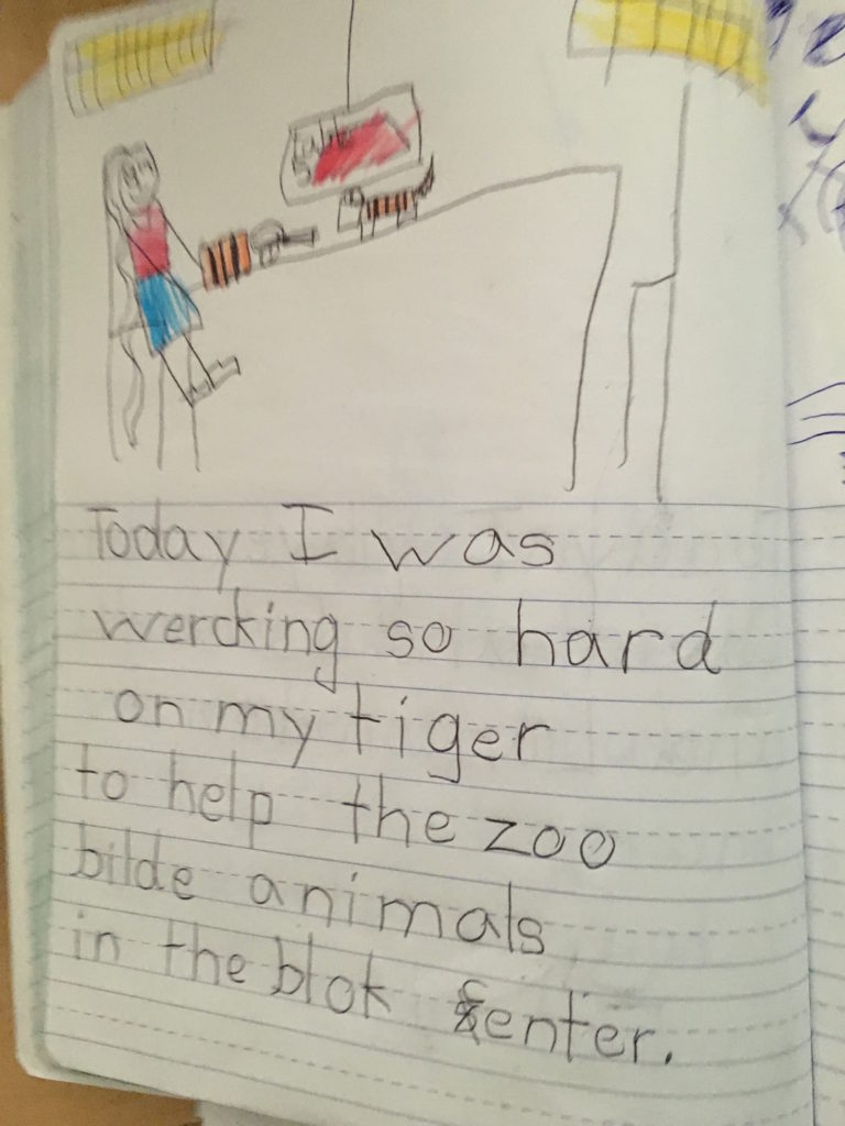 tiger journal