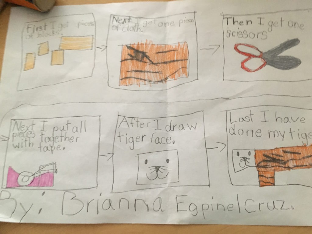 tiger plan